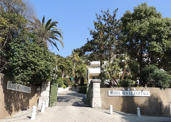 Royal Pamela Cassis