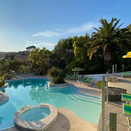 Royal Pamela 卡西斯