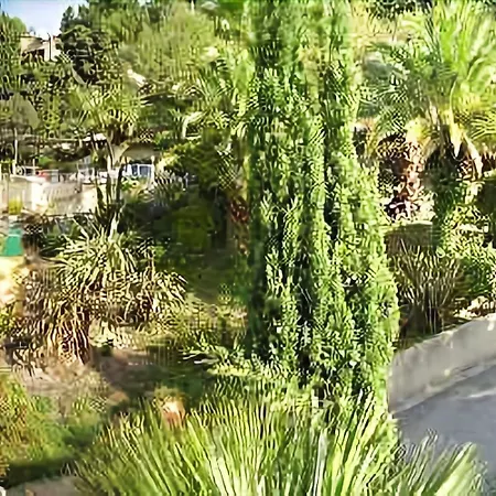 Royal Pamela Hotel 3*